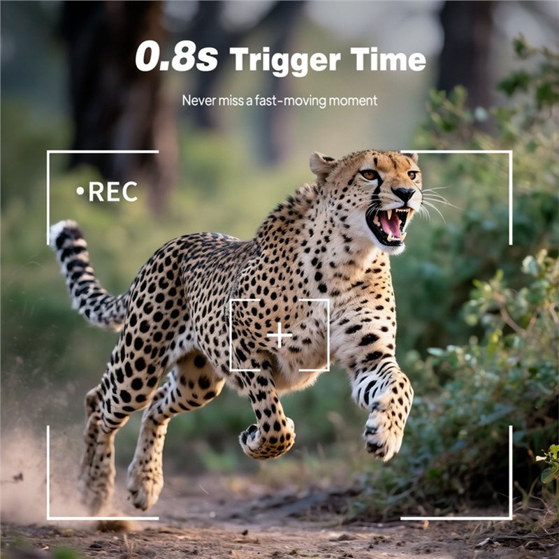 Outdoor Trail Hunting Camera 1 - Trail Camera Infrared 评论和价格